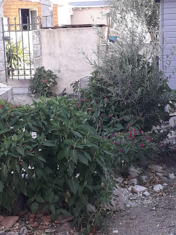 Cournonterral Maison Cosy المظهر الخارجي الصورة